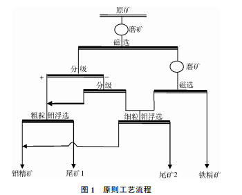 ѡ